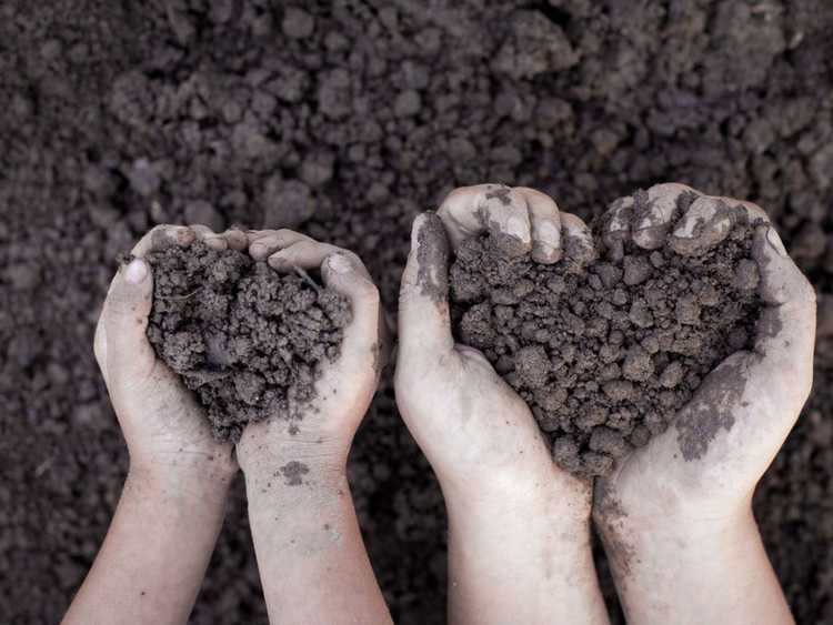 Lire la suite à propos de l’article Idées d’art du sol – Activités d’apprentissage utilisant le sol dans l’art