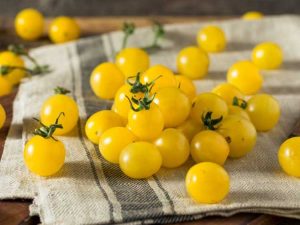 Lire la suite à propos de l’article Informations sur la variété de tomates jaunes – Cultiver des tomates avec des fruits jaunes