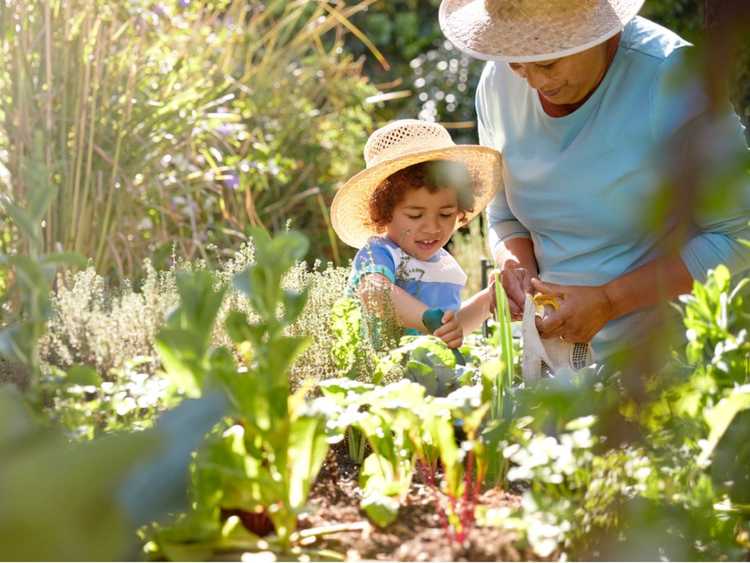 Pflanzen für Kinder und Erwachsene im Garten