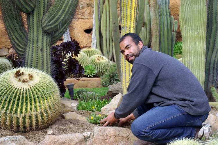 You are currently viewing Temps de plantation des plantes succulentes : quand planter des plantes succulentes dans différentes zones