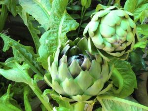 Lire la suite à propos de l’article Plantes potagères vivaces – Comment cultiver des légumes vivaces