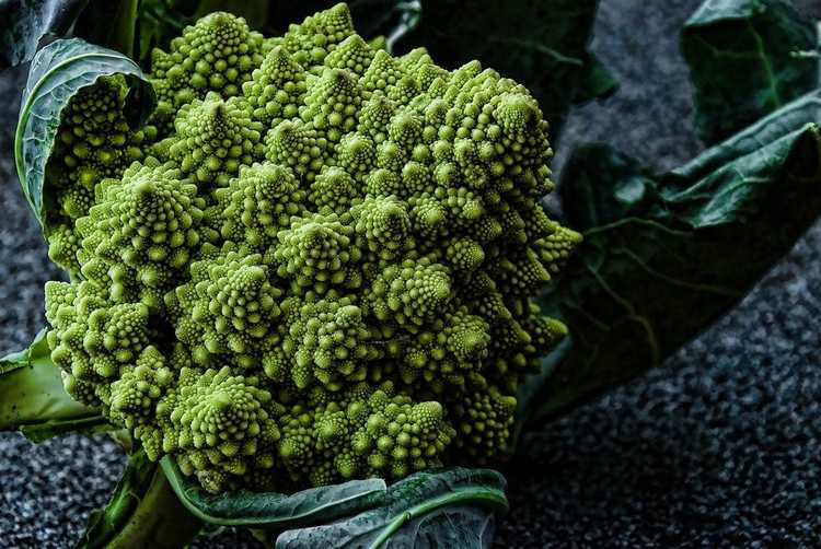 You are currently viewing Soins du brocoli Romanesco – Comment faire pousser des plants de brocoli Romanesco