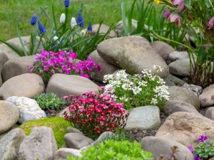 Lire la suite à propos de l’article Petites plantes à fleurs pour petits espaces