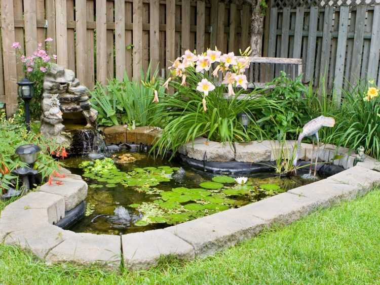 You are currently viewing Étang et jardins aquatiques – Informations et plantes pour petits jardins aquatiques