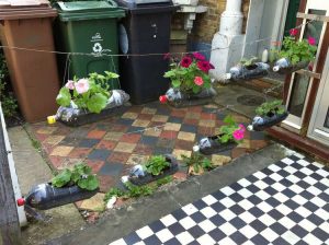 Lire la suite à propos de l’article Jardin en bouteille : cultiver des terrariums et des jardinières en bouteilles de soda avec des enfants