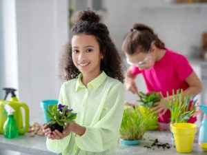 Lire la suite à propos de l’article Cultiver des plantes d'intérieur avec des enfants : des plantes d'intérieur adaptées aux enfants