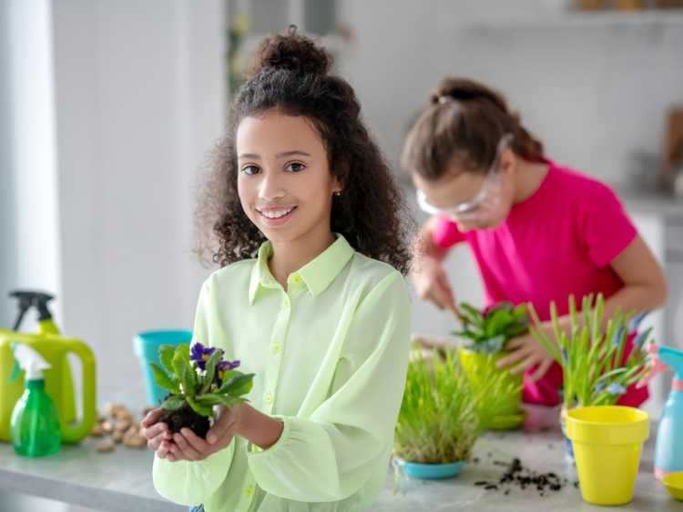 Lire la suite à propos de l’article Cultiver des plantes d'intérieur avec des enfants : des plantes d'intérieur adaptées aux enfants