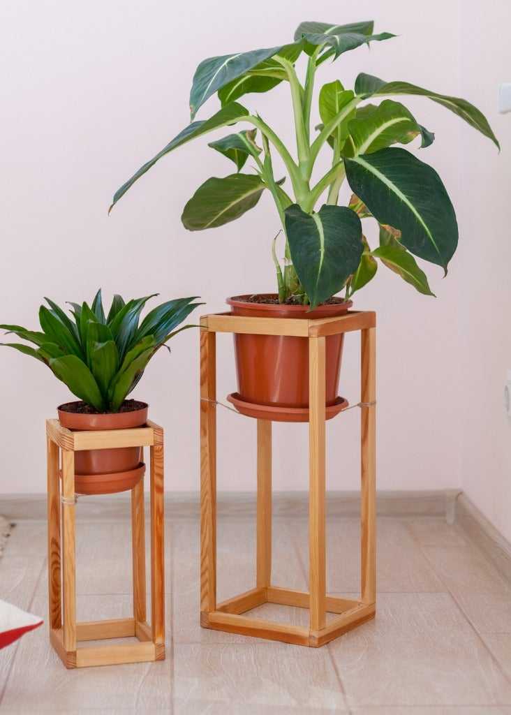 Lire la suite à propos de l’article Idées de supports pour plantes d'intérieur – Choisir des supports pour plantes pour une utilisation en intérieur