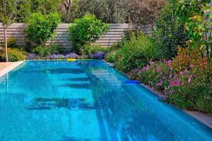 Lire la suite à propos de l’article Informations sur les plantes au bord de la piscine : conseils pour planter autour des piscines