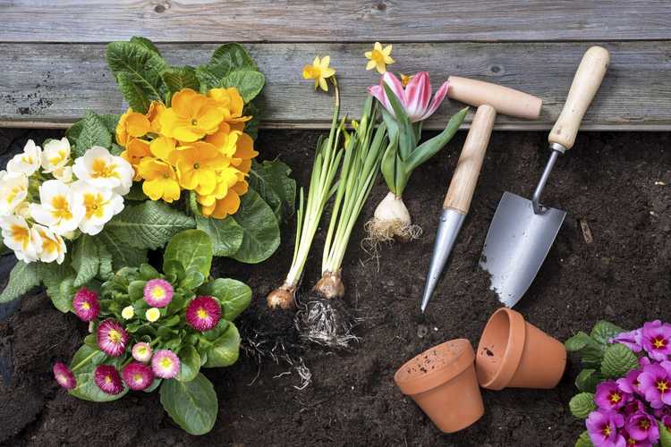 You are currently viewing Conseils pour gagner du temps pour les jardiniers – Comment rendre le jardinage plus facile