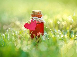 Lire la suite à propos de l’article Comment faire une potion d'amour à partir de plantes du jardin