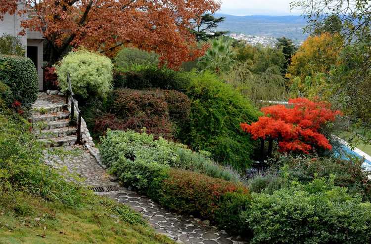 Lire la suite à propos de l’article Choisir des plantes pour les zones en pente – Quelles plantes poussent sur les pentes