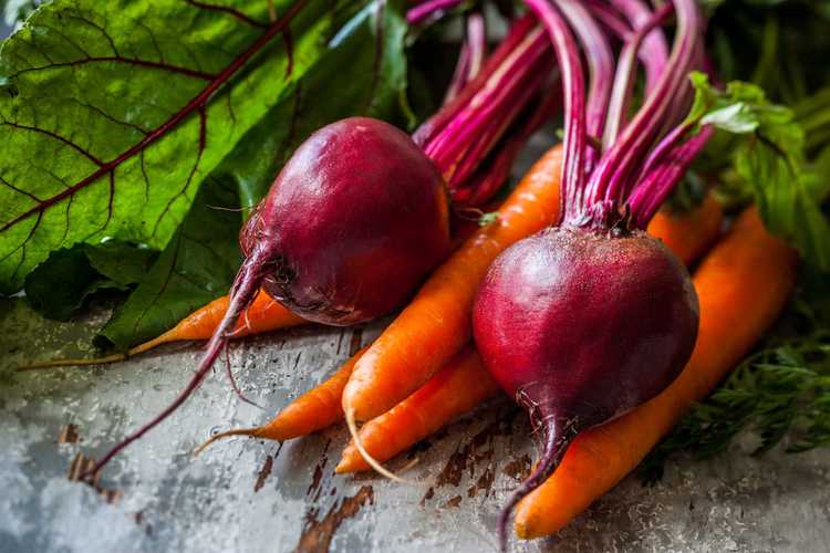 You are currently viewing Plantes-racines édulcorantes à froid : légumes courants qui deviennent sucrés en hiver