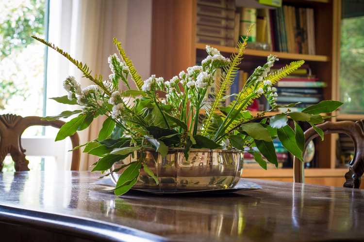 Lire la suite à propos de l’article Plantes maîtresses vivantes : apprenez à faire pousser une pièce maîtresse vivante