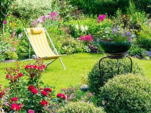 Lire la suite à propos de l’article Plantes vivaces en plein soleil pour les cours et jardins ensoleillés