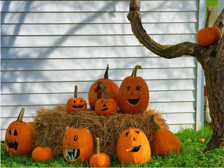 Lire la suite à propos de l’article Célébrer Halloween dans le jardin : idées pour une fête d'Halloween à l'extérieur