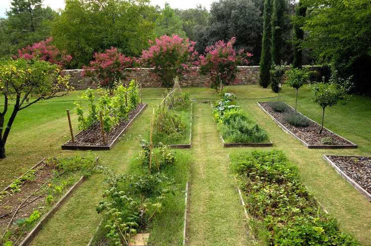 You are currently viewing Où installer un jardin : comment choisir l'emplacement d'un potager