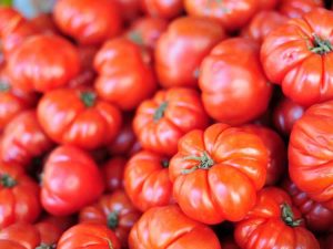 Lire la suite à propos de l’article Cultiver des plants de tomates Beefsteak dans le jardin