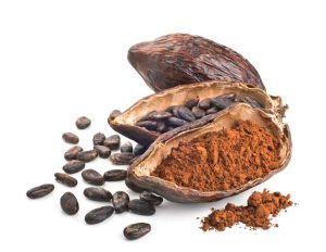 Lire la suite à propos de l’article Comment traiter les cabosses de cacao – Guide de préparation des fèves de cacao