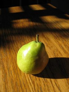 Lire la suite à propos de l’article Cultiver une poire dorée précoce : comment faire pousser des poires dorées précoces