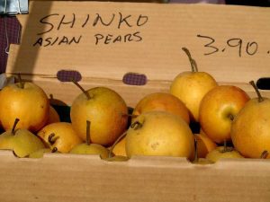 Lire la suite à propos de l’article Informations sur la poire asiatique Shinko : découvrez la culture et les utilisations du poirier Shinko