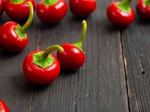 Lire la suite à propos de l’article Faits sur les poivrons cerises – Apprenez à cultiver des poivrons cerises doux