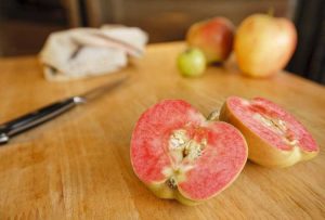 Lire la suite à propos de l’article Pommes à chair rouge : informations sur les variétés de pommes à chair rouge