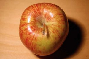 Lire la suite à propos de l’article Informations sur les pommes Cameo : Que sont les pommiers Cameo
