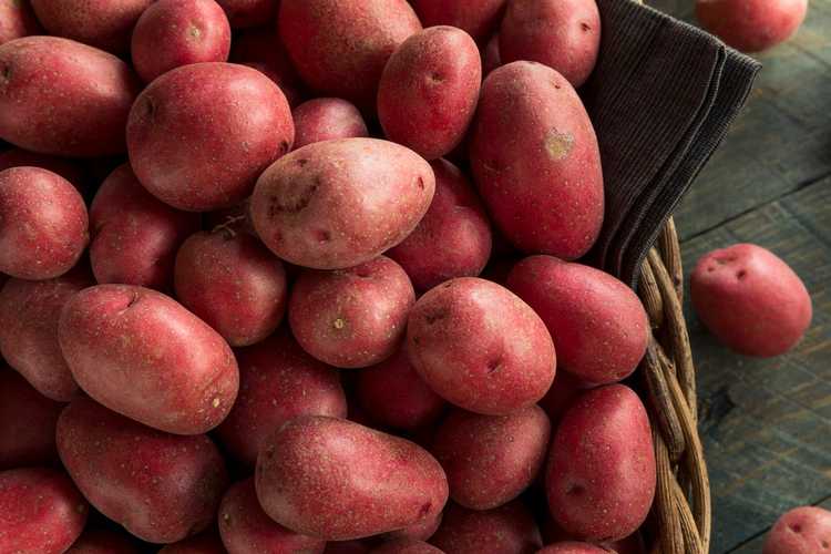 You are currently viewing Variétés de pommes de terre rouges – Cultiver des pommes de terre à peau et chair rouges