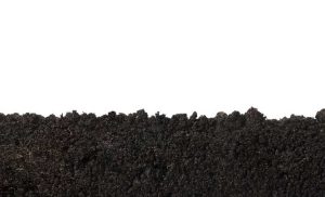 Lire la suite à propos de l’article Informations sur la porosité du sol – Découvrez ce qui rend le sol poreux