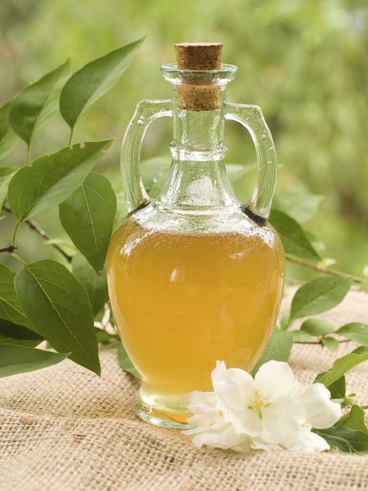 You are currently viewing Vinaigre pour le jardin : fabriquer de l'hormone d'enracinement de vinaigre maison