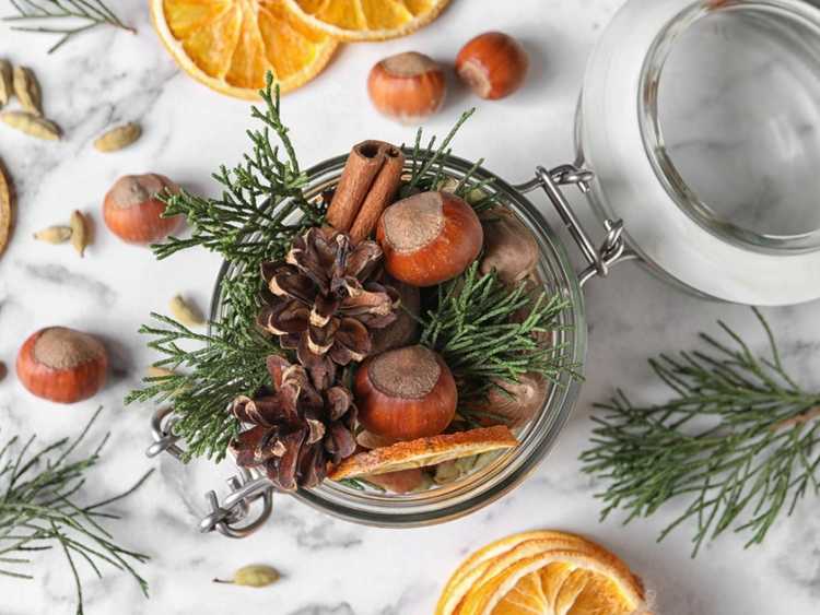 You are currently viewing Pot-pourri de Noël DIY : Comment préparer un pot-pourri de Noël à partir de votre jardin