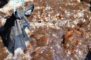 Lire la suite à propos de l’article Recette de thé de compost : comment préparer du thé de compost