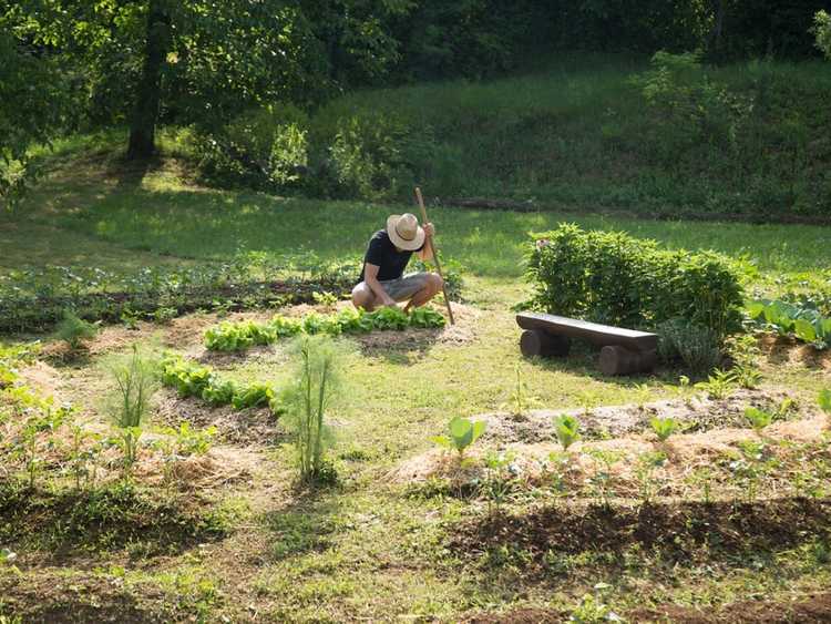 You are currently viewing Principes de base de la conception en permaculture