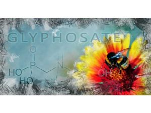 Lire la suite à propos de l’article Le glyphosate est-il dangereux ? Informations sur l'utilisation du glyphosate