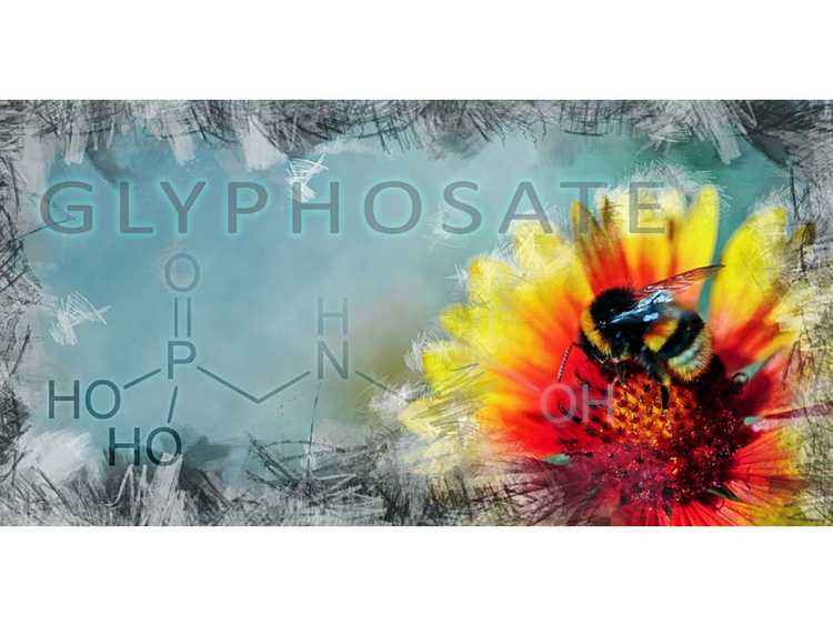You are currently viewing Le glyphosate est-il dangereux ? Informations sur l'utilisation du glyphosate