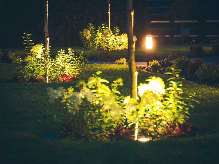 You are currently viewing Effets négatifs des veilleuses pour les arbres extérieurs