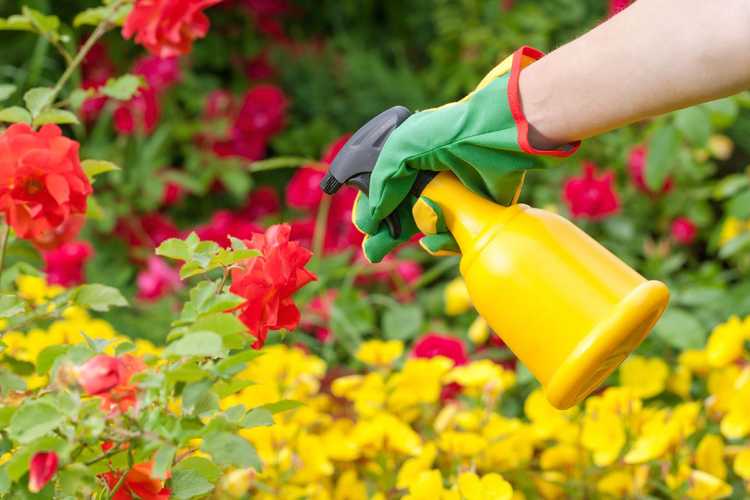 You are currently viewing Quand appliquer des pesticides : conseils pour utiliser les pesticides en toute sécurité