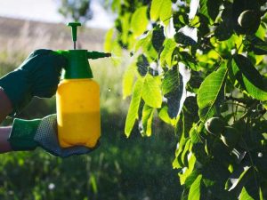 Lire la suite à propos de l’article Qu'est-ce que la pulvérisation foliaire : découvrez les différents types de pulvérisation foliaire