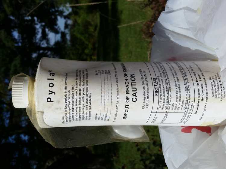 You are currently viewing Qu'est-ce que Pyola : Utiliser le spray d'huile de Pyola contre les parasites dans les jardins