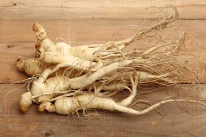 Lire la suite à propos de l’article Récolte du ginseng américain : est-il légal de récolter les racines du ginseng