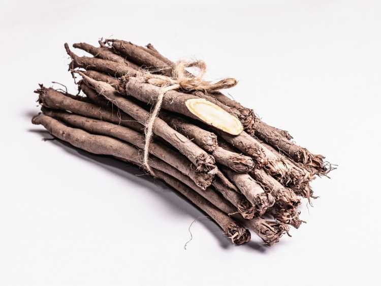 You are currently viewing Salsify Care – Comment faire pousser une plante de salsifis