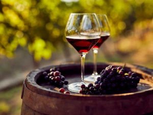 Lire la suite à propos de l’article Des cépages de vin rouge à cultiver pour la Journée nationale du vin rouge