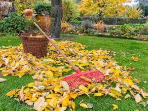 Lire la suite à propos de l’article Nettoyage facile du jardin d’automne : avantages de laisser votre jardin tranquille