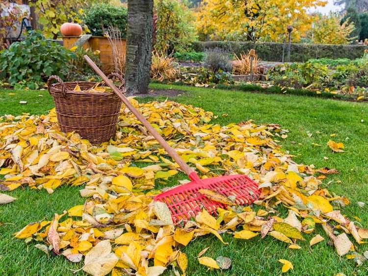 You are currently viewing Nettoyage facile du jardin d’automne : avantages de laisser votre jardin tranquille