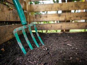 Lire la suite à propos de l’article Quand et comment récolter le compost