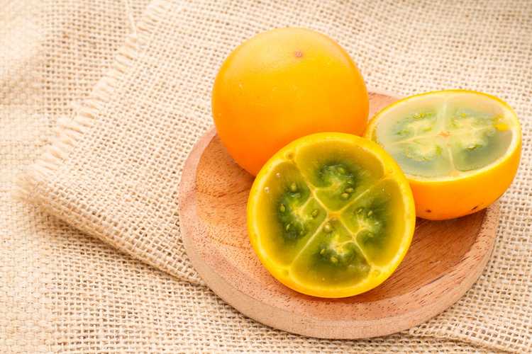 You are currently viewing Cueillette des fruits de Naranjilla : conseils pour récolter le Naranjilla