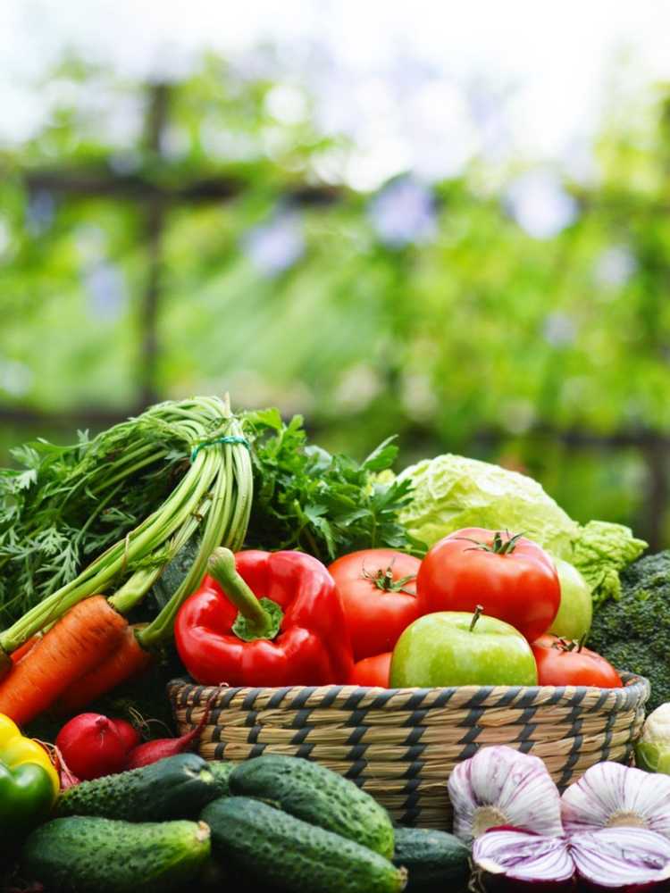 You are currently viewing Récolte de légumes d'été – Que récoltez-vous en été