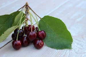 Lire la suite à propos de l’article Que sont les cerises Regina – Comment faire pousser des cerisiers Regina