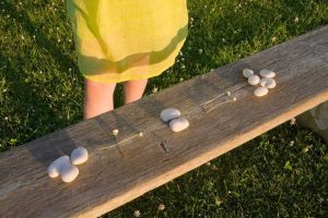 Lire la suite à propos de l’article Activités du jardin mathématique : utiliser les jardins pour enseigner les mathématiques aux enfants